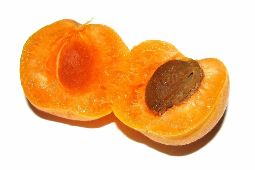 apricot-halved-1329341-1279x854
